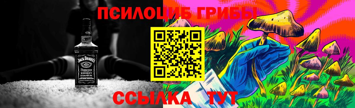 Псилоцибиновые грибы Magic Shrooms Лениногорск