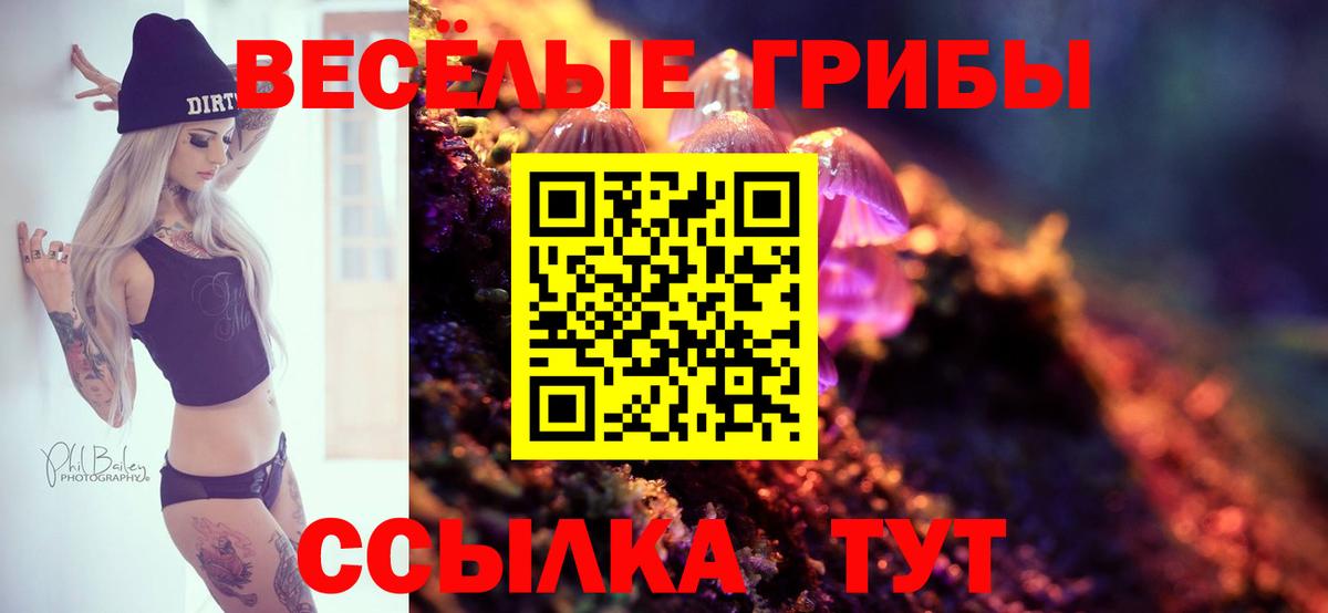 Лениногорск  Галлюциногенные грибы MAGIC MUSHROOMS  Вход с VPN 